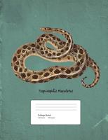 Snake Boa Constrictor Composition Book College Ruled: Notebook 200 pages 100 sheets 1725606879 Book Cover