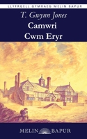 Camwri Cwm Eryr (Welsh Edition) 1917237227 Book Cover