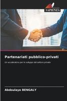Partenariati pubblico-privati (Italian Edition) 6200739404 Book Cover