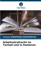 Arbeitsstrafrecht im Tschad und in Kamerun (German Edition) 6208077095 Book Cover