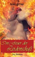 Im Feuer der Leidenschaft (Gay Romance) 153744512X Book Cover