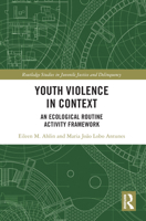 Youth Violence in Context: An Ecological Routine Activity Framework 1032100834 Book Cover