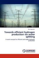 Towards efficient hydrogen production via water splitting: A novel concept for efficient and stable hydrogen production 3659154245 Book Cover