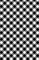 Publish Her Journal (Gingham) 1962457540 Book Cover