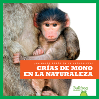 Crías de mono en la naturaleza (Monkey Infants in the Wild) (Bullfrog Books: Spanish Edition: (¡Animales bebés en la naturaleza! B0BGNDYV7Q Book Cover