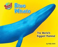 Blue Whale: The World's Biggest Mammal 1597163856 Book Cover