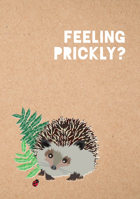 Feeling Prickly Journal 0762494034 Book Cover