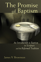 The Promise of Baptism: An Introduction to Baptism in Scripture And the Reformed Tradition 0802833071 Book Cover