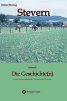 Stevern: Teilband 1, Die Geschichte (n) (German Edition) 338444258X Book Cover