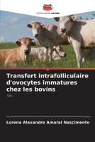 Transfert intrafolliculaire d'ovocytes immatures chez les bovins: Tifoi 6206014576 Book Cover