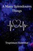 A Many Splendoures Things 1648698514 Book Cover