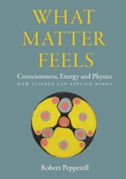 What Matter Feels: Consciousness, Energy and Physics (How Science can Explain Minds) 1068523204 Book Cover