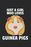 Meerschweinchen Notizbuch: Meerschweinchen Notizbuch für Liebhaber / Notizheft / Notizblock A5 (6x9in) Dotted Notebook / Punkteraster / 120 gepunktete Seiten (German Edition) 1671669568 Book Cover