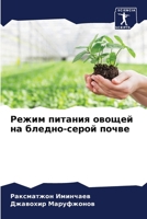 ????? ??????? ?????? ?? ??????-????? ????? (Russian Edition) 620763697X Book Cover