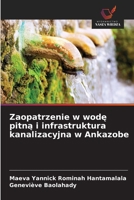 Zaopatrzenie w wode pitna i infrastruktura kanalizacyjna w Ankazobe (Polish Edition) 6630269276 Book Cover