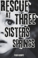 Rescue at Three Sisters Springs: A Dreamer. A Runaway. And a Poet. Three Teens and One Kidnapped Toddler. Will the Truth Bring Ben Home? Will a Wrong be Made Right? 0578639742 Book Cover