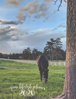 Equine Lifestyle Planner 2020: Monthly, Weekly, & Daily Schedules for Humans & Equine, Equine Maintenance, Appointments, Budget, Vaccines, Training Goals, Events, Track Behavior & Rides, Log Products  1689849851 Book Cover