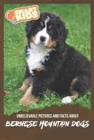 Unbelievable Pictures and Facts About Bernese Mountain Dogs 1077818572 Book Cover