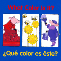What Color Is It?/Que color es este? (Good Beginnings) 0618169326 Book Cover