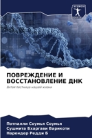 ПОВРЕЖДЕНИЕ И ВОССТАНОВЛЕНИЕ ДНК: Витая лестница нашей жизни 6205928450 Book Cover