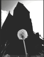 Creative Street Photography: European Art Images B08NS6131Z Book Cover