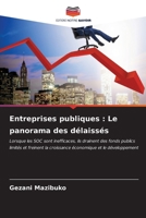 Entreprises publiques: Le panorama des délaissés 6206637794 Book Cover