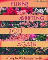 Funny Meeting You Again 1735384615 Book Cover