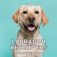 Labrador Retrievers: 2021 Labrador Retriever Wall Calendar, Cute Gift Idea For Labrador Lovers Or Owners Men And Women B08QWZRNLQ Book Cover