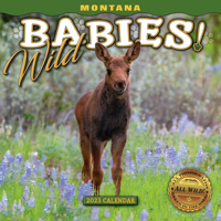 2023 Montana Wild Babies! Mini Calendar 1560378093 Book Cover