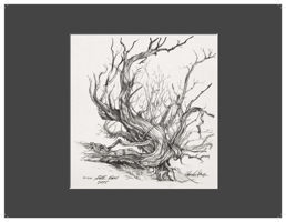 Charles Parson Drawing 0998592218 Book Cover