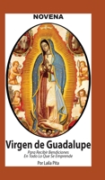 Novena De Virgen De Guadalupe Para Recibir Bendiciones en Todo lo que se Emprende 162504321X Book Cover