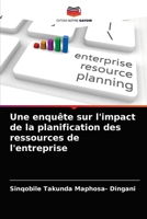 Une enquête sur l'impact de la planification des ressources de l'entreprise 6204073613 Book Cover