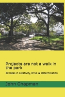 Projects are not a walk in the park: 30 ideas in Creativity, Drive & Determination 171060168X Book Cover