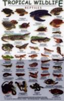 Costa Rica Pacific Rain Forest Bird Guide (Laminated Foldout Pocket Field Guide) (Tropical Wildlife Field Guide) (English and Spanish Edition) 1888538228 Book Cover