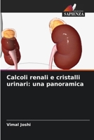 Calcoli renali e cristalli urinari: una panoramica (Italian Edition) 6209649246 Book Cover