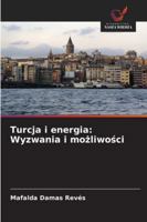 Turcja i energia: Wyzwania i mozliwosci (Polish Edition) 6208761344 Book Cover