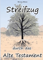 Streifzug durch das Alte Testament (German Edition) 3695106247 Book Cover
