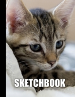 Sketchbook: Cat Cover Design | White Paper | 120 Blank Unlined Pages | 8.5" X 11" | Matte Finished Soft Cover 1712912224 Book Cover