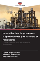Intensification du processus d'épuration des gaz naturels et résiduaires (French Edition) 6206450007 Book Cover