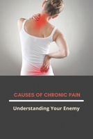 Causes Of Chronic Pain: Understanding Your Enemy: Chronic Pain Syndrome B091GPQ818 Book Cover