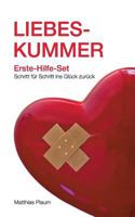 Liebeskummer Erste-Hilfe-Set 3734507073 Book Cover