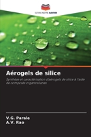 Aérogels de silice 6209921469 Book Cover