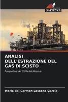 Analisi Dell'estrazione del Gas Di Scisto 6205799901 Book Cover