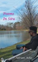 Poems in Situ: A Tayal! Take 1546292276 Book Cover
