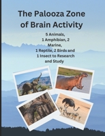 The Palooza Zone of Brain Activity: Research and Study B0BW27P9LY Book Cover