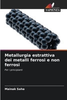 Metallurgia estrattiva dei metalli ferrosi e non ferrosi: Per i principianti (Italian Edition) 6207683986 Book Cover
