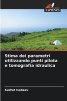 Stima dei parametri utilizzando punti pilota e tomografia idraulica (Italian Edition) 6209538738 Book Cover