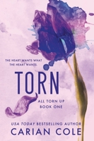 Torn 1538765985 Book Cover