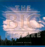 The Big Picture 157921262X Book Cover