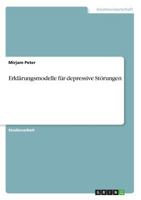 Erklärungsmodelle für depressive Störungen 3668726833 Book Cover